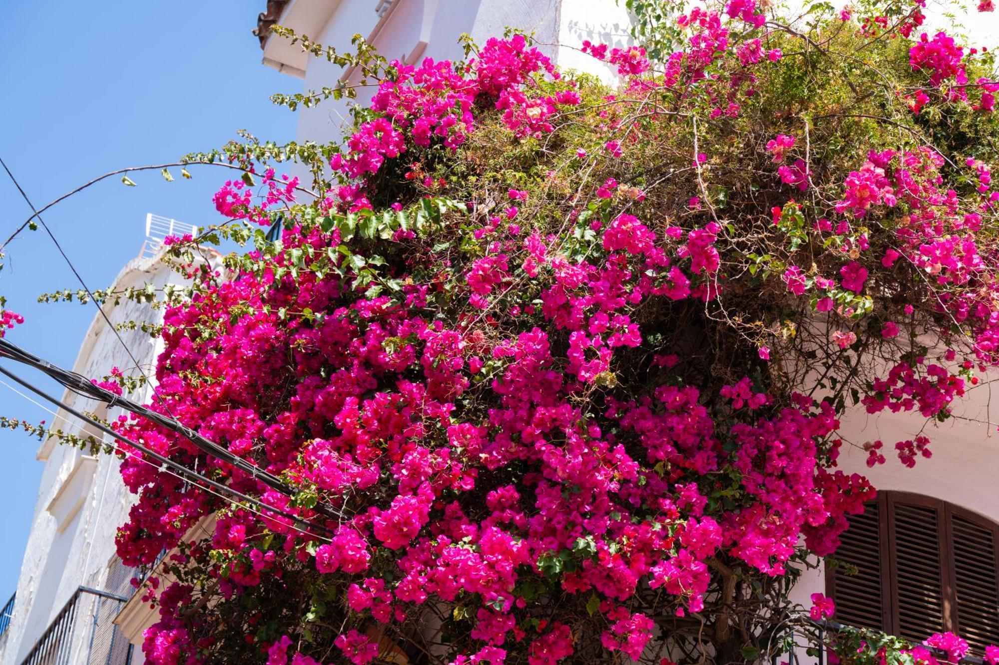 Marbella Luxury Duplex 106 Close To The Beach Luaran gambar